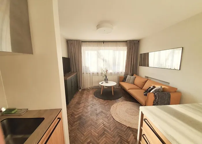 Downtown Apartment Rentals 2
